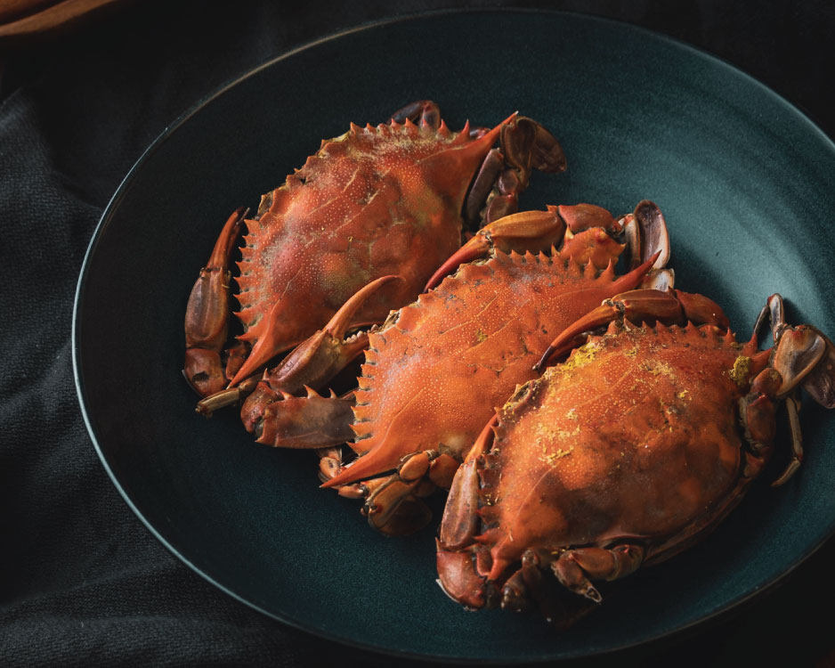 Crab-Shot-1