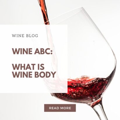 Wine Body Blog_Edited_Feature