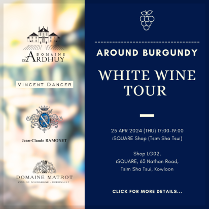 TST Around Burgundy White Wine Tour