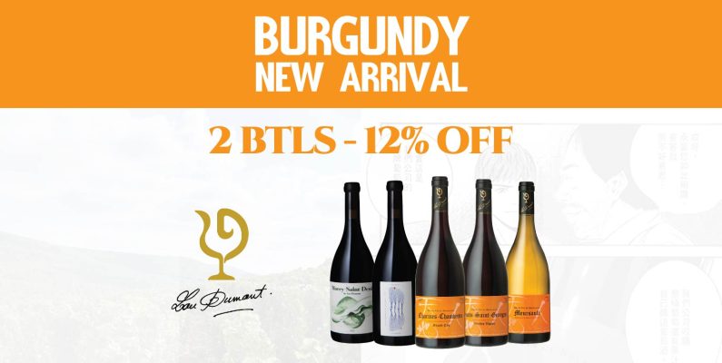 Burgundy New Arrival_Lou Dumont_Banner Burgundy New Arrival_Lou Dumont_Banner